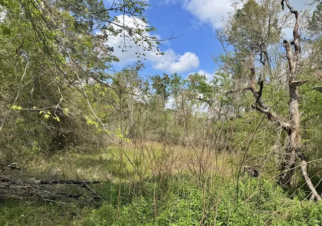 Photo 4 of Land for sale at 251 William Thomas Rd, Huntsville, TX 77320 | MLS# 62335040 | Listing updated on 2026-07-21