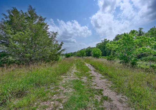 5th image of 544 E Fm 1291, Round Top, TX 78954 | MLS# 50918400