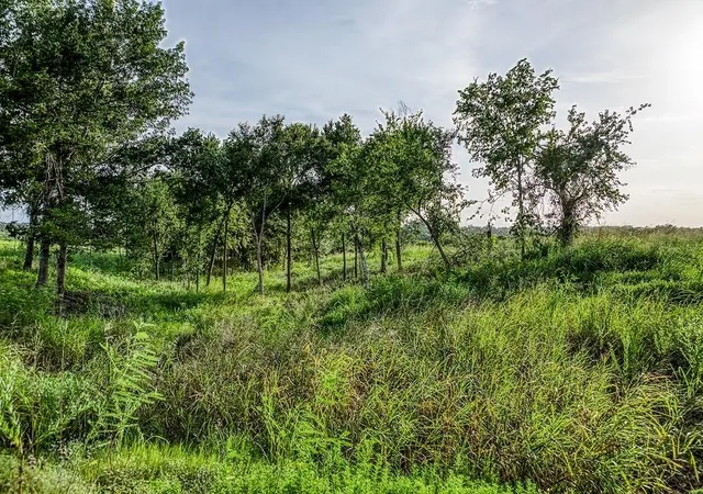 Photo 3 of Land for sale at Lot 9 Hargrove Ln, Washington, TX 77880 | MLS# 59648704 | Listing updated on 2026-06-18
