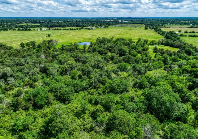 Photo 21 of Land for sale at Tbd County Rd 132, Bedias, TX 77831 | MLS# 48658817 | Listing updated on 2026-03-20