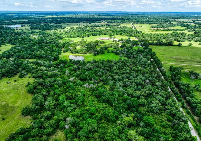 Photo 2 of Land for sale at Tbd County Rd 132, Bedias, TX 77831 | MLS# 48658817 | Listing updated on 2026-03-20