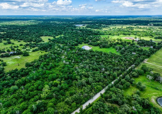 Photo 2 of Land for sale at Tbd County Rd 132, Bedias, TX 77831 | MLS# 48658817 | Listing updated on 2026-03-20