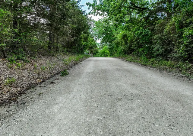 Photo 3 of Land for sale at Tbd County Rd 132, Bedias, TX 77831 | MLS# 48658817 | Listing updated on 2026-03-20