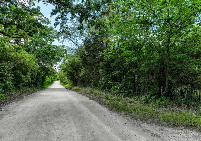 Photo 4 of Land for sale at Tbd County Rd 132, Bedias, TX 77831 | MLS# 48658817 | Listing updated on 2026-03-20