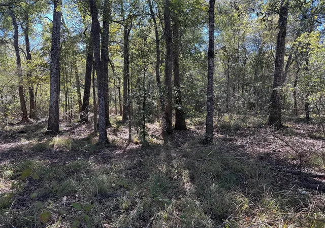 2nd image of 401 County Road 401, Dayton, TX 77535 | MLS# 66445155