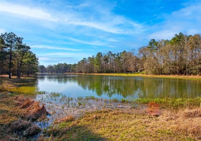 Photo 47 of Land for sale at 21438 Doru Dr, Cleveland, TX 77328 | MLS# 49100656 | Listing updated on 2026-08-17