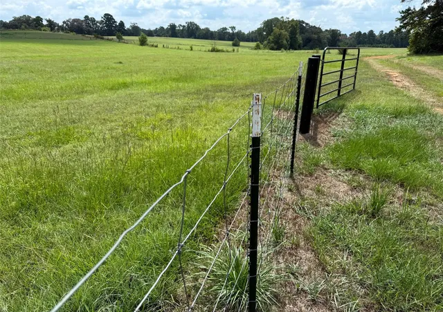 29th image of 580 County Road 1630 W, Crockett, TX 75835 | MLS# 80017498