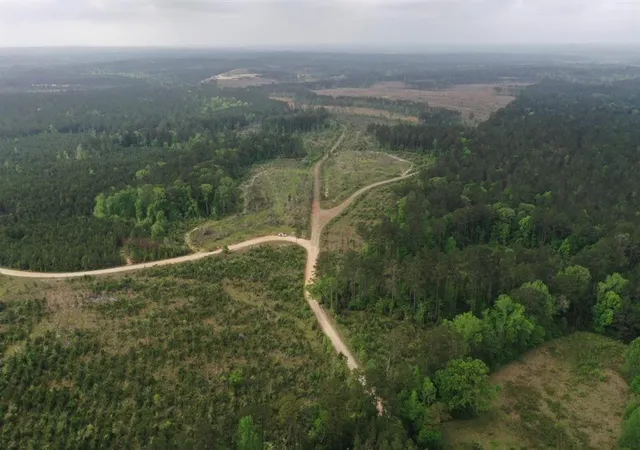 10th image of 000000 Cr 255, San Augustine, TX 75972 | MLS# 61263035