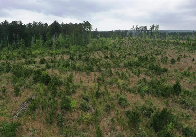 2nd image of 000000 Cr 255, San Augustine, TX 75972 | MLS# 61263035