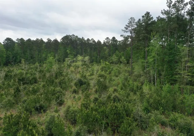 3rd image of 000000 Cr 255, San Augustine, TX 75972 | MLS# 61263035