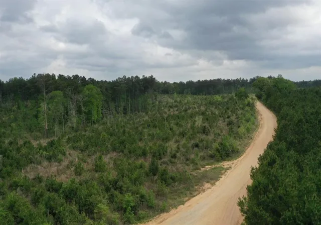 5th image of 000000 Cr 255, San Augustine, TX 75972 | MLS# 61263035