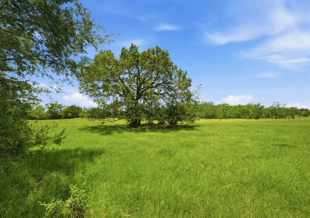 image of Tract 3 Holly Cemetery Rd, Franklin, TX 77856 | MLS# 4991193