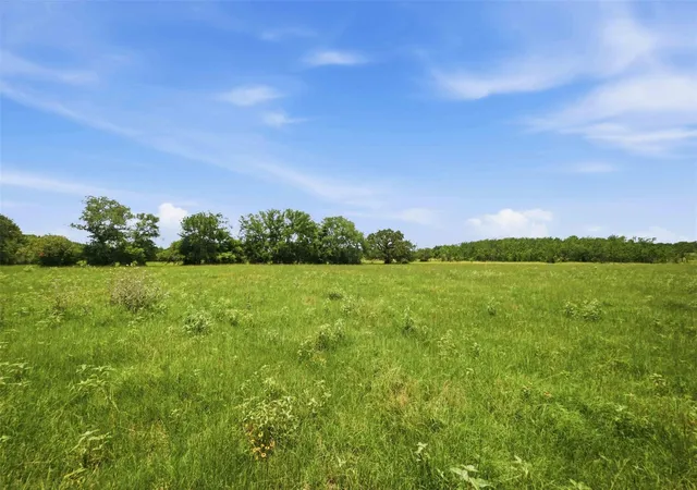 image of Tract 3 Holly Cemetery Rd, Franklin, TX 77856 | MLS# 4991193
