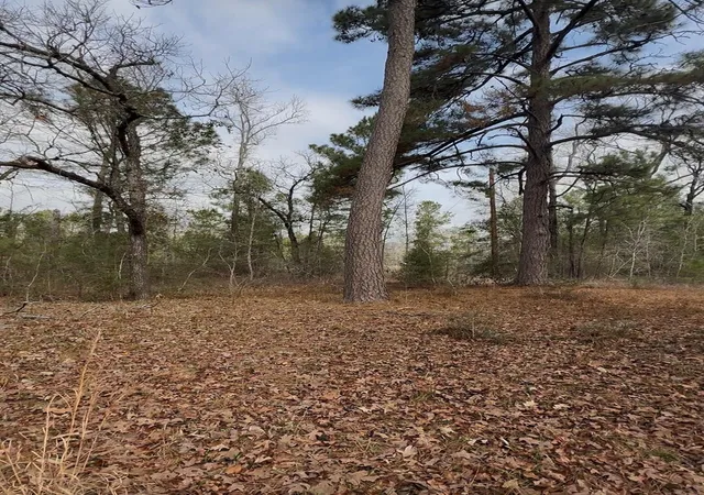 Photo 1 of Land for sale at 24159 Weeren Rd, Montgomery, TX 77316 | MLS# 86413861 | Listing updated on 2026-02-28