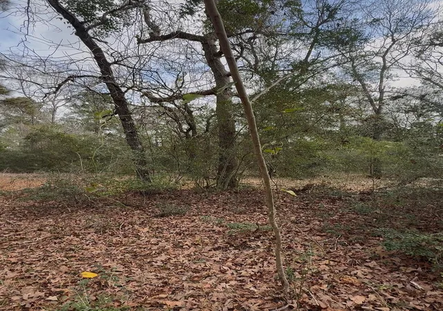 Photo 4 of Land for sale at 24159 Weeren Rd, Montgomery, TX 77316 | MLS# 86413861 | Listing updated on 2026-02-28