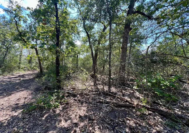 Homes for sale in Somerville, TX | 531 Moss Oak Dr, Somerville, TX 77879 | MLS# 5839742
