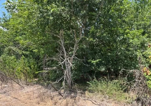 Photo 3 of Sale Pending at Tbd Hopkins Rd, Beasley, TX 77417 | MLS# 28133496 | Listing updated on 2026-09-20