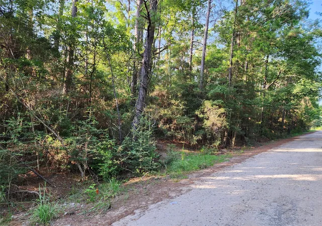 1st image of 135 Arborcrest Dr, Brookeland, TX 75931 | MLS# 68723782