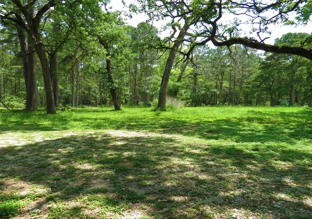 Homes for sale in Navasota, TX | 4542 Evergreen Forest Ln, Navasota, TX 77868 | MLS# 70503429