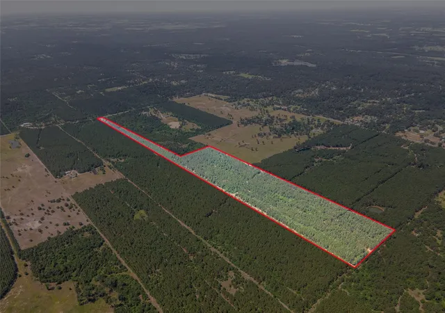 Photo 20 of Land for sale at 7443 County Rd 302, Plantersville, TX 77363 | MLS# 93885836 | Listing updated on 2026-05-17