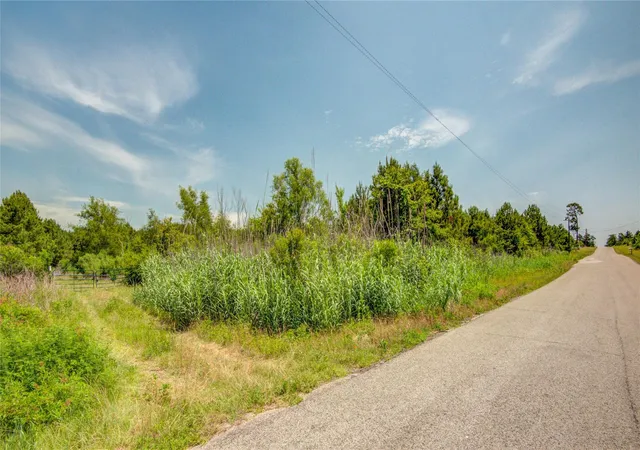 Photo 2 of Land for sale at 7443 County Rd 302, Plantersville, TX 77363 | MLS# 93885836 | Listing updated on 2026-05-17
