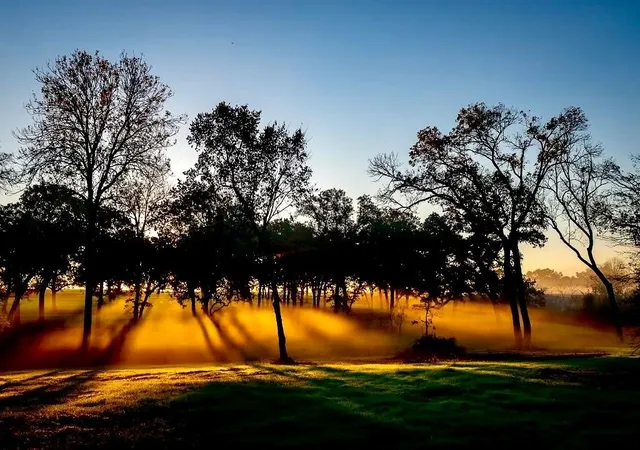 Photo 3 of Land for sale at 8321 Equestrian Ln, Washington, TX 77880 | MLS# 70875184 | Listing updated on 2026-07-31