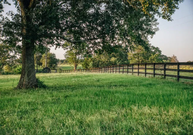Photo 4 of Land for sale at 8321 Equestrian Ln, Washington, TX 77880 | MLS# 70875184 | Listing updated on 2026-07-31