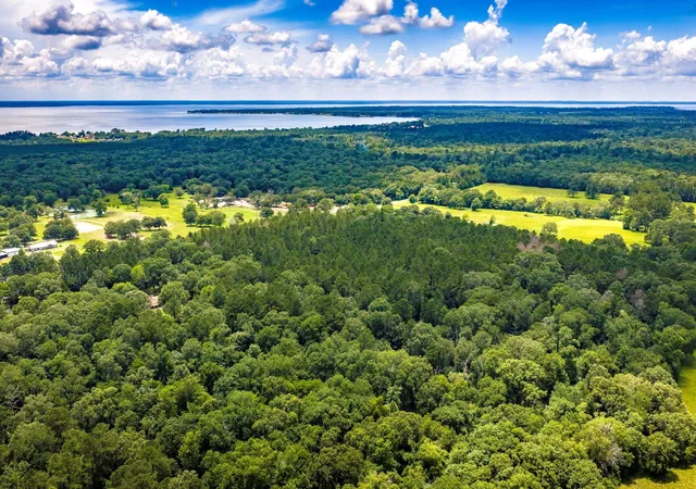 4th image of 1204 Mangum Rd, Livingston, TX 77351 | MLS# 70158865