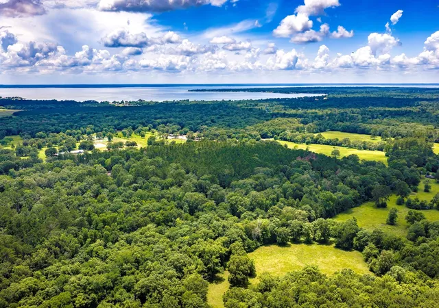 5th image of 1204 Mangum Rd, Livingston, TX 77351 | MLS# 70158865