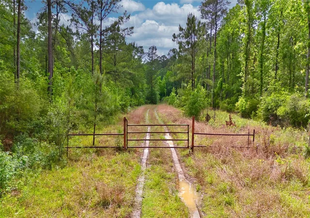Photo 2 of Land for sale at 000 Fm 1409, Dayton, TX 77535 | MLS# 69499055 | Listing updated on 2026-04-29