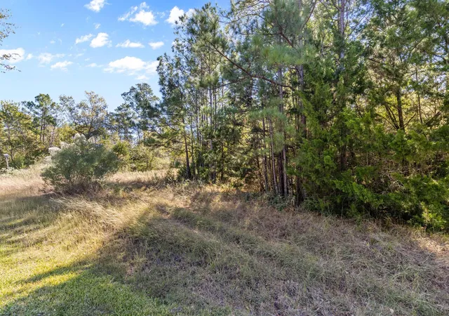 Photo 4 of Land for sale at 26 N Royale Greens Dr, Coldspring, TX 77331 | MLS# 73548634 | Listing updated on 2026-02-18