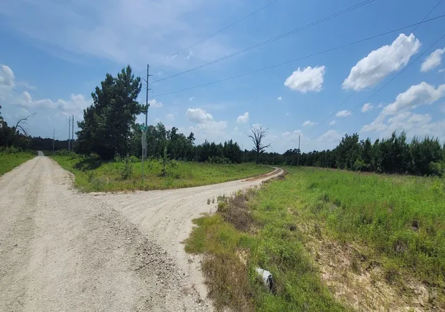 2nd image of 315 Polk, Lovelady, TX 75851 | MLS# 15127098