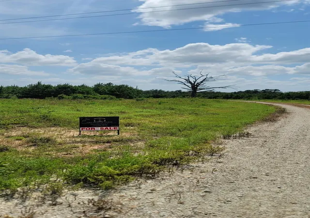 Photo 3 of Land for sale at 315 Polk, Lovelady, TX 75851 | MLS# 15127098 | Listing updated on 2026-09-05