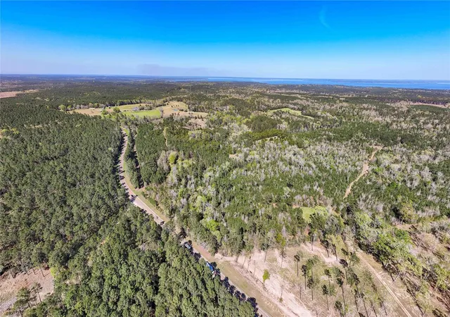 2nd image of Tbd Fm 946, Coldspring, TX 77331 | MLS# 69453424