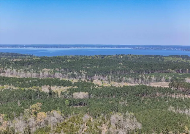 3rd image of Tbd Fm 946, Coldspring, TX 77331 | MLS# 69453424