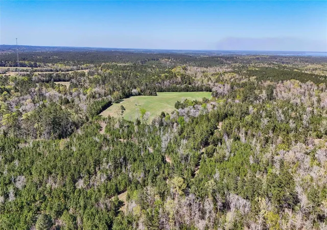 4th image of Tbd Fm 946, Coldspring, TX 77331 | MLS# 69453424