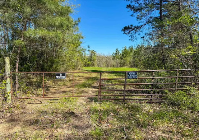 50th image of Tbd Fm 946, Coldspring, TX 77331 | MLS# 69453424