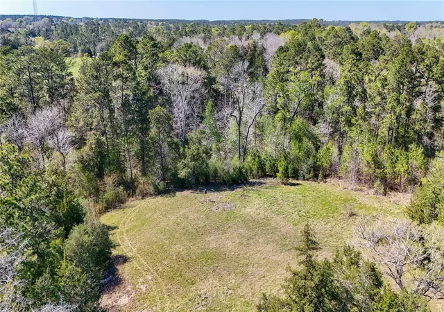 5th image of Tbd Fm 946, Coldspring, TX 77331 | MLS# 69453424