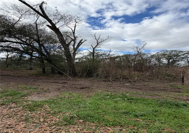Photo 4 of Land for sale at 25028 Leitrim St, Hempstead, TX 77445 | MLS# 58084336 | Listing updated on 2025-12-28
