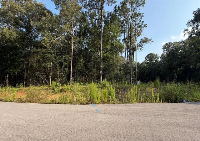 Photo 1 of Land for sale at 221 County Rd 6311, Dayton, TX 77535 | MLS# 23907232 | Listing updated on 2026-06-22