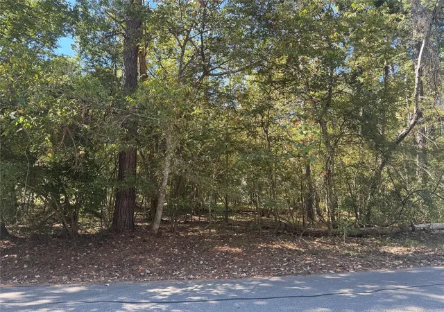 Photo 3 of Land for sale at 176 N Fairway Loop, Coldspring, TX 77331 | MLS# 2083977 | Listing updated on 2026-09-05