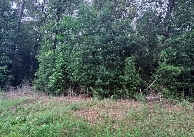 Homes for sale in Ivanhoe, TX | Lot 19&20 Perdilot Dr, Ivanhoe, TX 75979 | MLS# 73351766