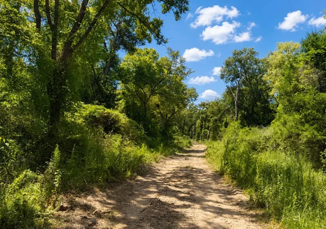 Photo 33 of Land for sale at Tract 7 & 8 County Rd 426, Marquez, TX 77865 | MLS# 77491104 | Listing updated on 2026-08-25