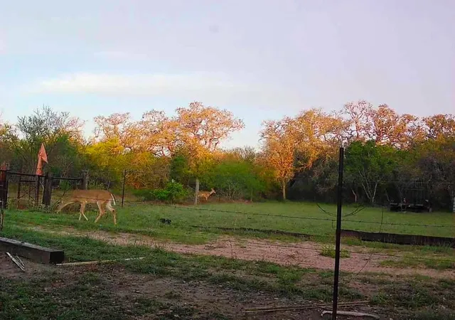 1st image of 10423 State Hwy 21 W, Crockett, TX 75835 | MLS# 81147487