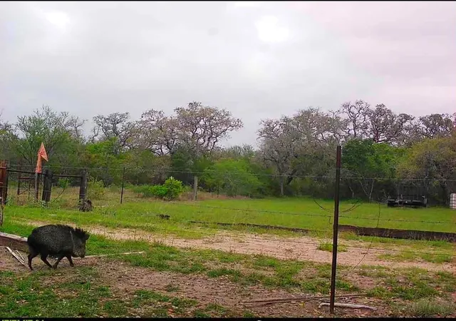 Photo 3 of Land for sale at 10423 State Hwy 21 W, Crockett, TX 75835 | MLS# 81147487 | Listing updated on 2026-05-30