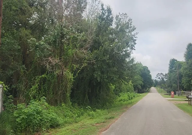 Homes for sale in Hempstead, TX | Lot 61 Greenfield Rd, Hempstead, TX 77445 | MLS# 91189829