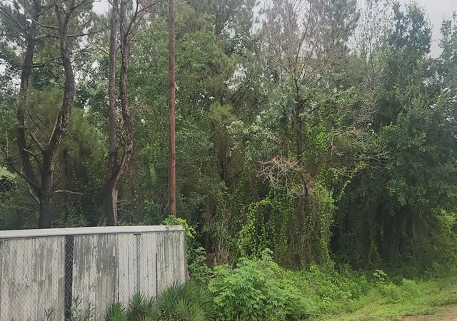 3rd image of Lot 61 Greenfield Rd, Hempstead, TX 77445 | MLS# 91189829