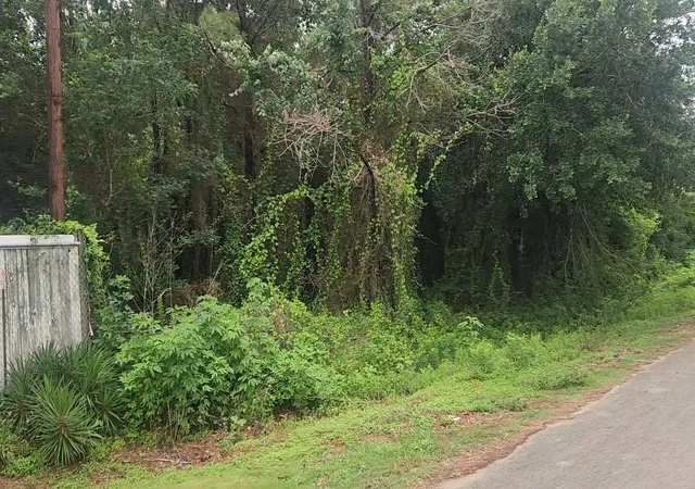 4th image of Lot 61 Greenfield Rd, Hempstead, TX 77445 | MLS# 91189829