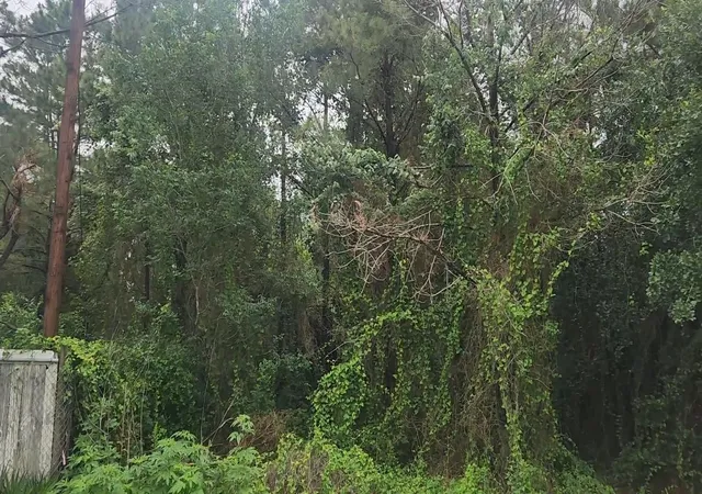 5th image of Lot 61 Greenfield Rd, Hempstead, TX 77445 | MLS# 91189829