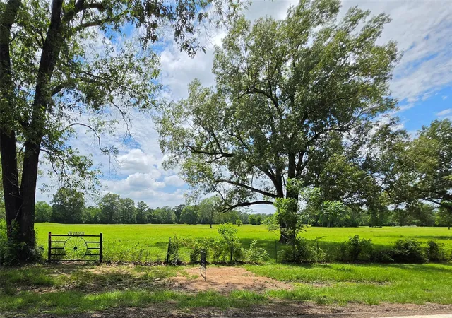 Homes for sale in Lovelady, TX | 0 Fm 1280, Lovelady, TX 75851 | MLS# 83679829